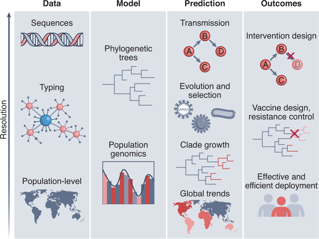 The potential of genomics for infectious disease forecasting
