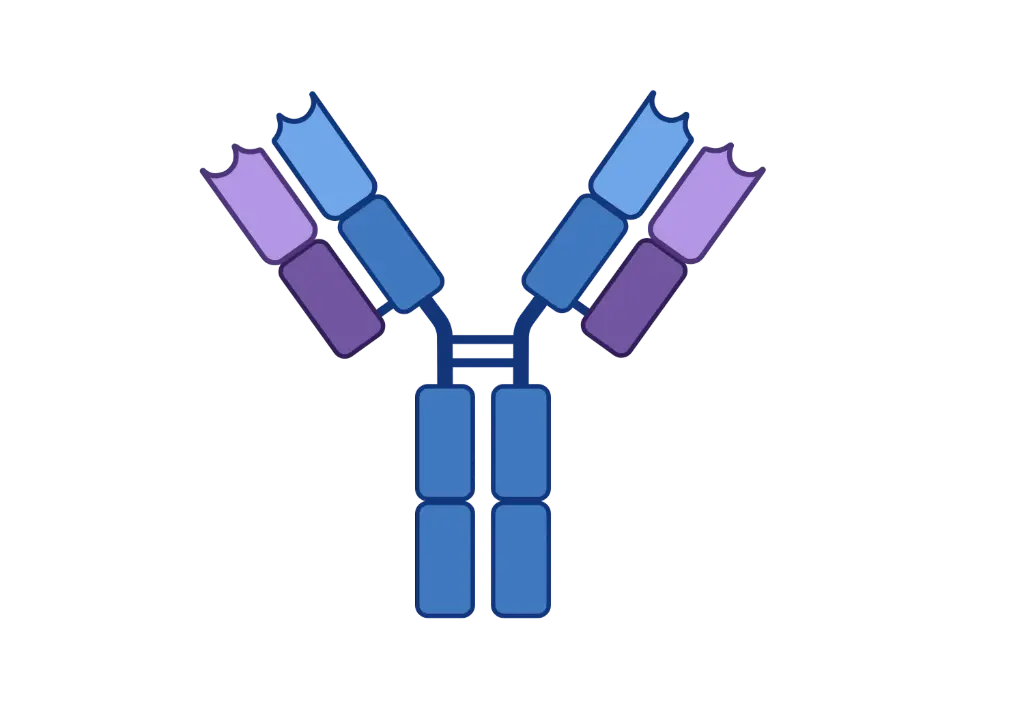 AKR1C1 Antibody  FITC conjugated   