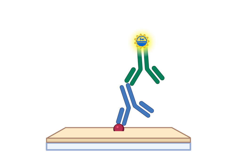 25-HVD3 ELISA, Universal