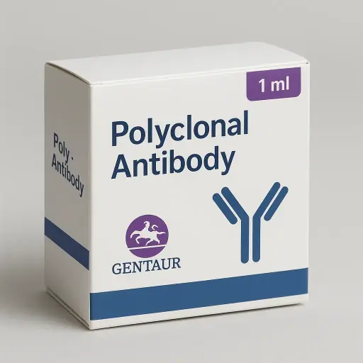 COX7A2L Rabbit pAb - A23681