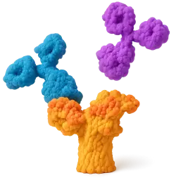  ABHD4 Rabbit pAb (50 µl)